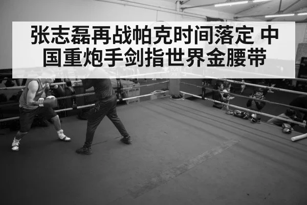 张志磊再战帕克时间落定 中国重炮手剑指世界金腰带